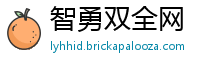 智勇双全网